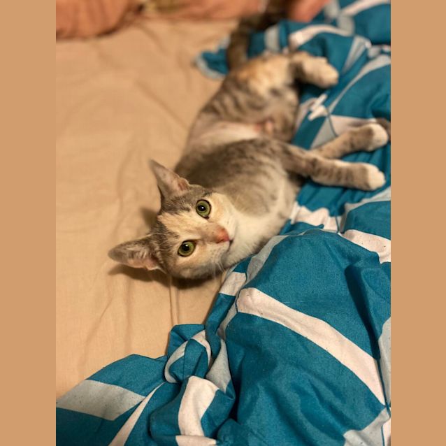 Photo of Cali