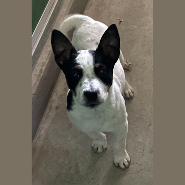 Photo of Russel