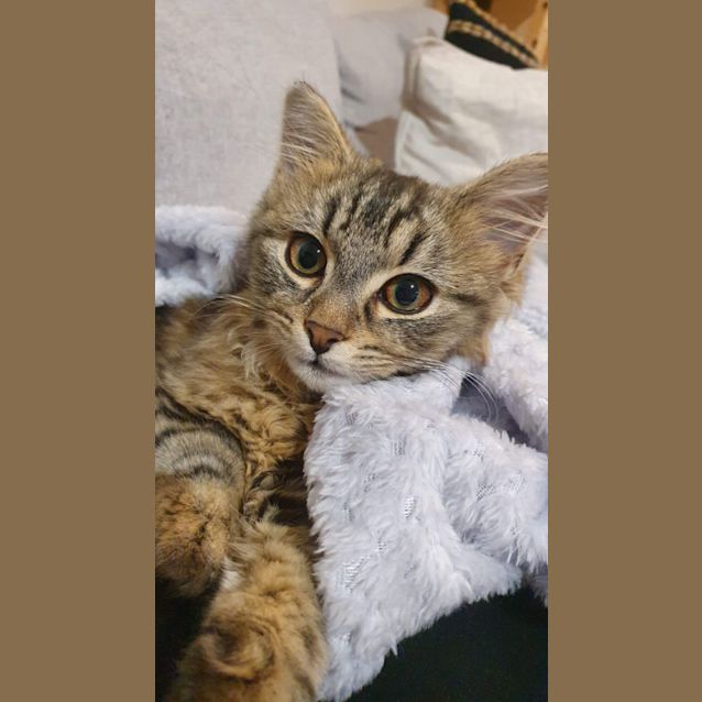 Photo of Tiggy Mc Squishy