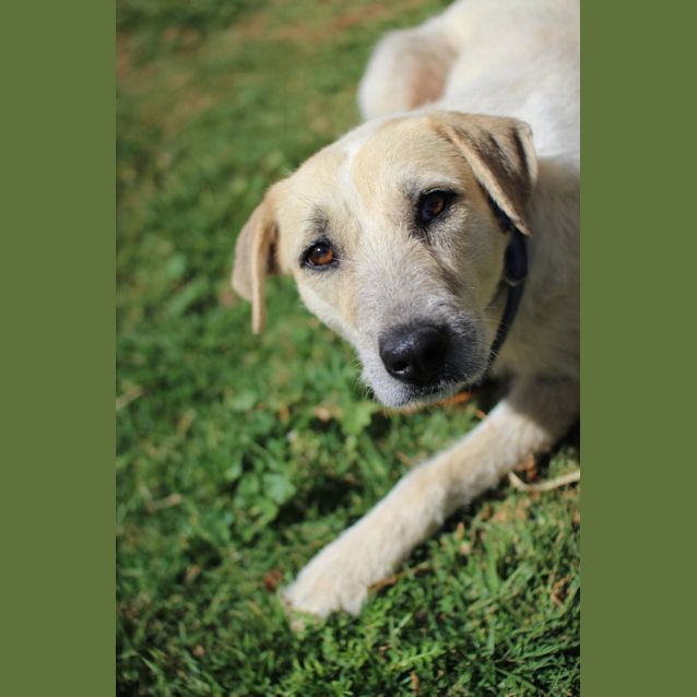 Photo of Wonder Woman 