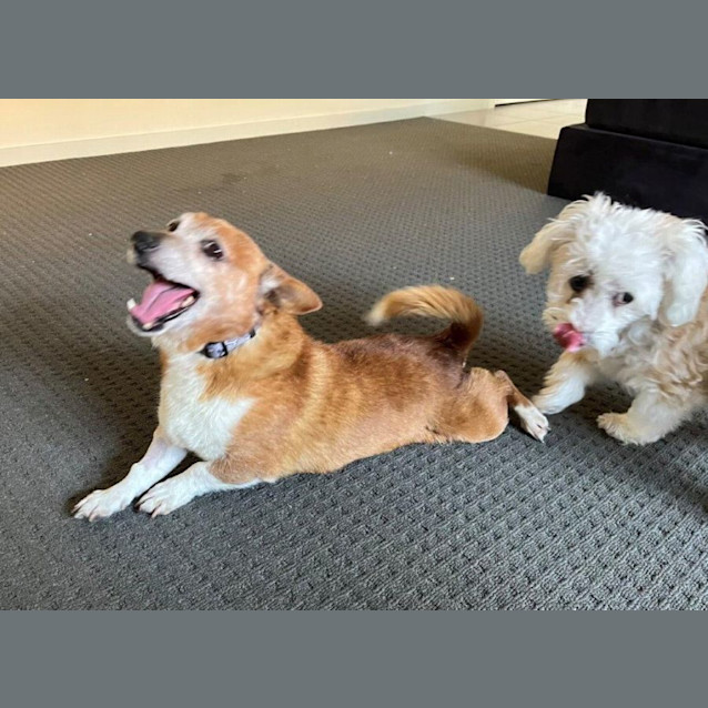 Photo of Walter Dahlstrom