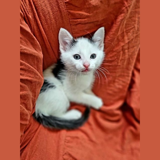 Photo of Bingley 