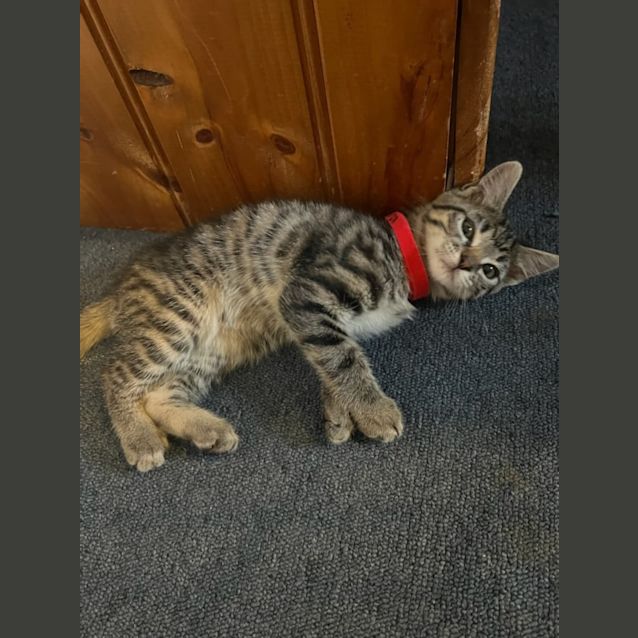 Photo of Kara (Princess)