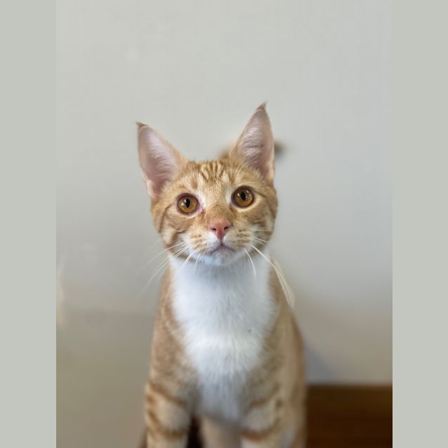 Photo of Andy