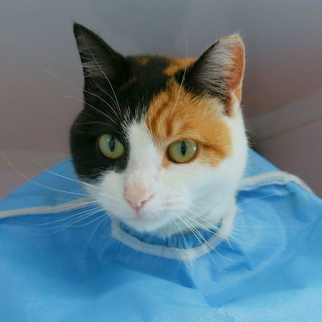 Photo of Jasper Sua010245