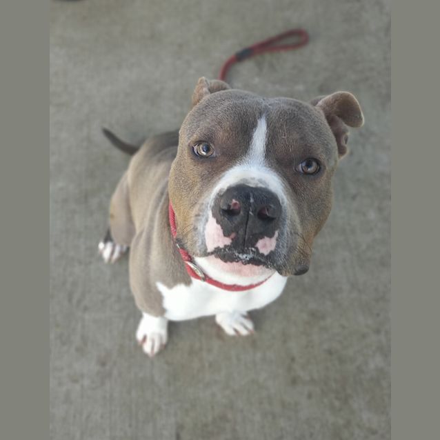 Photo of Jax