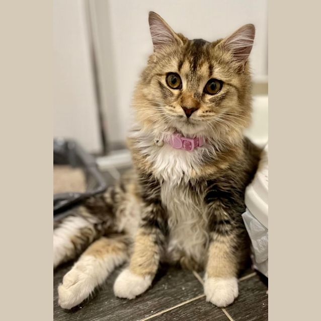 Photo of Hermione