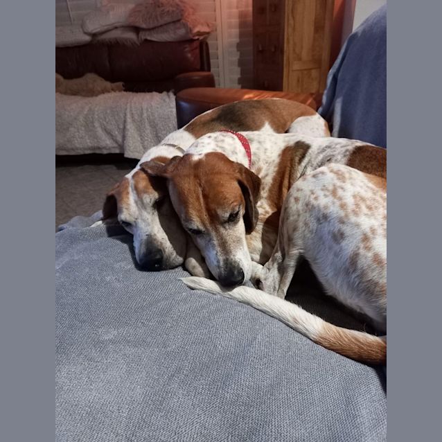 Photo of Shaun & Ben