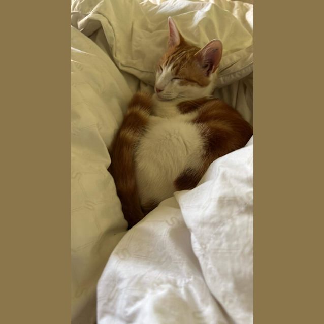 Photo of Luka