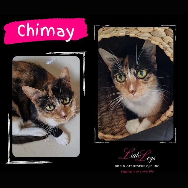Photo of Chimay