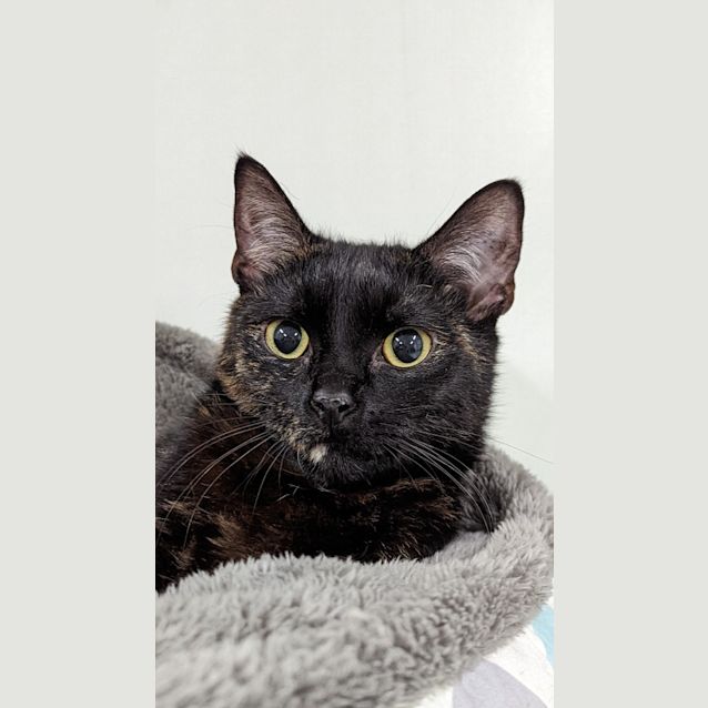 Photo of Betsy