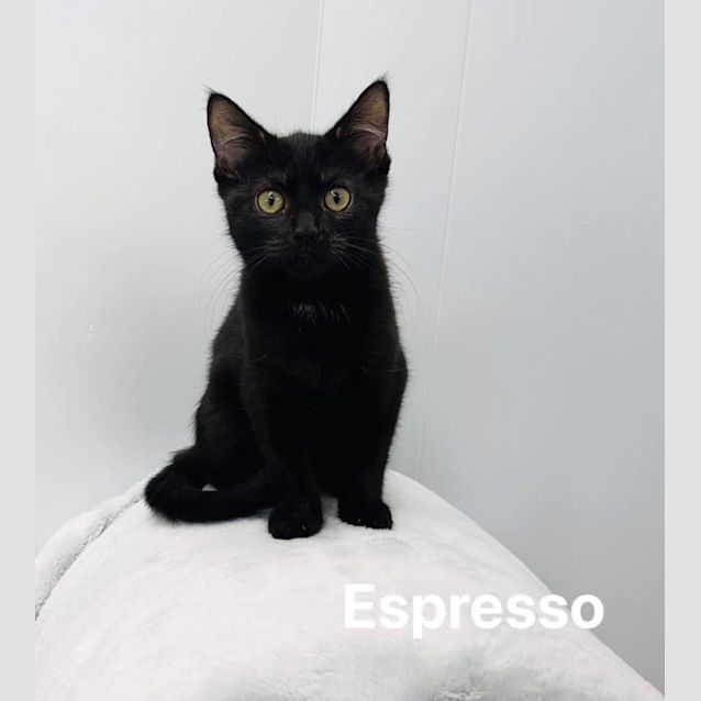 Photo of Espresso