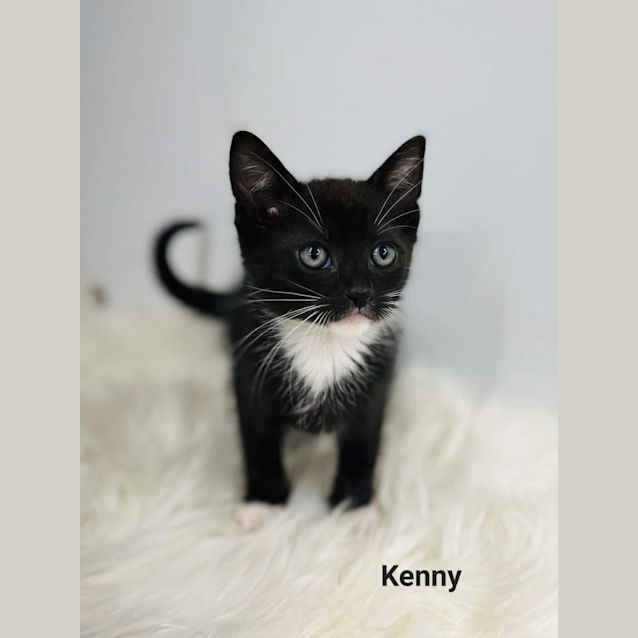 Photo of Kenny