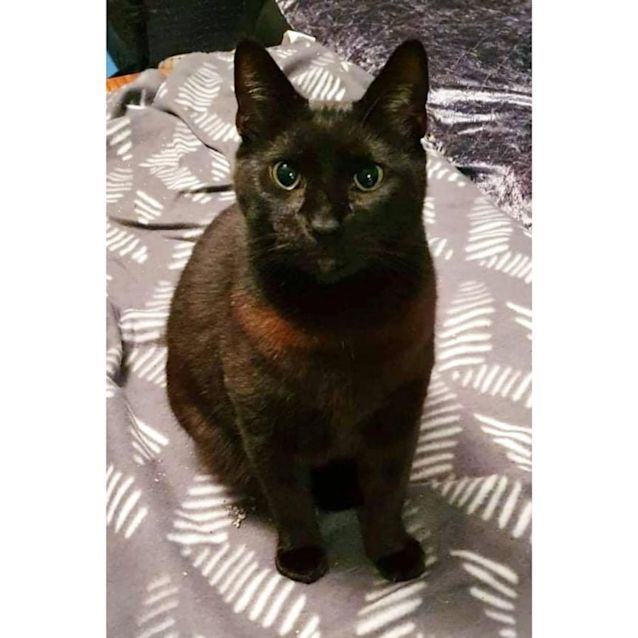 Photo of 3420   Asher