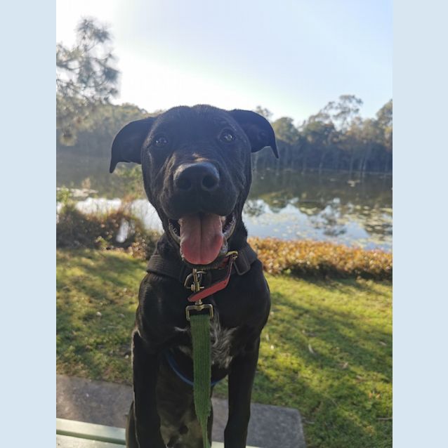 Photo of Winston