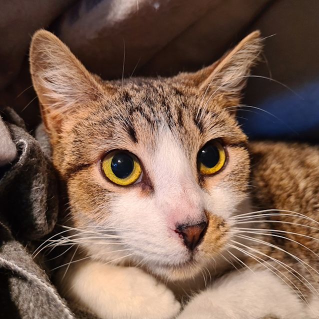 Photo of Hazel