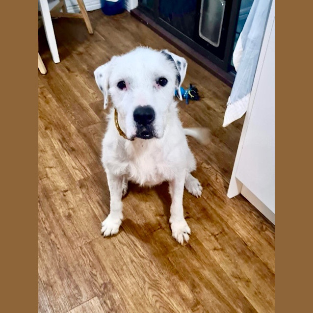 Photo of Maximus