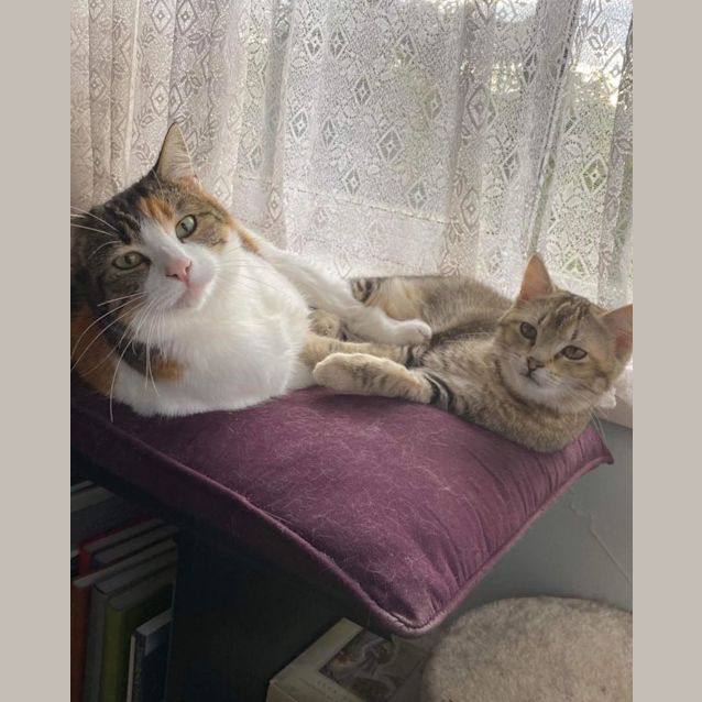 Photo of Nala And Lottie