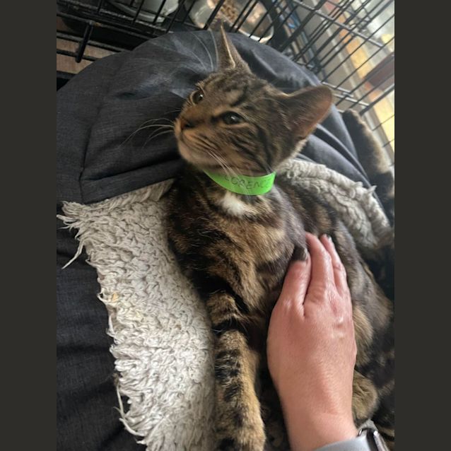 Photo of Florence ~ Meet Me At Pe Tstock Chelsea 