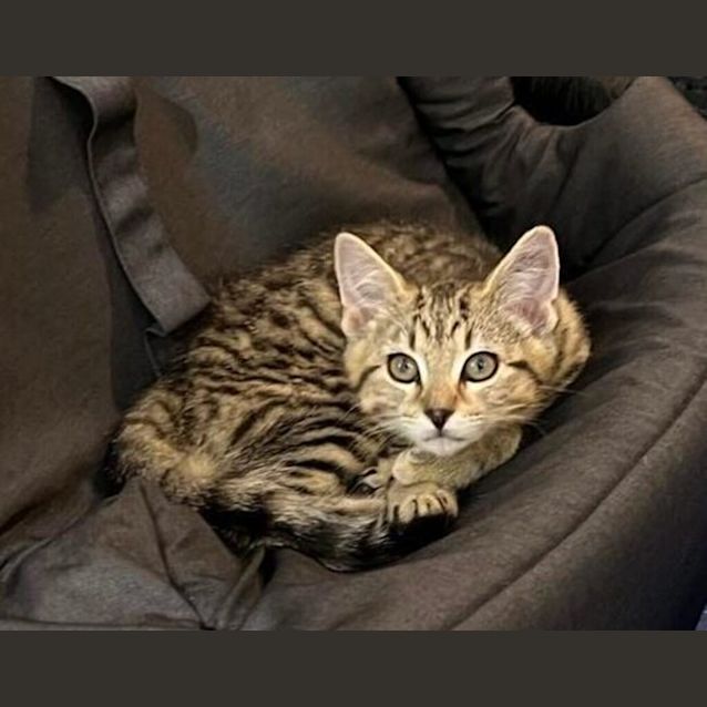 Photo of Zoe