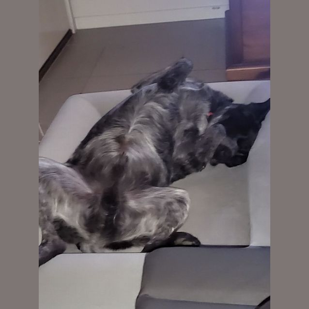 Photo of Forby ☀️