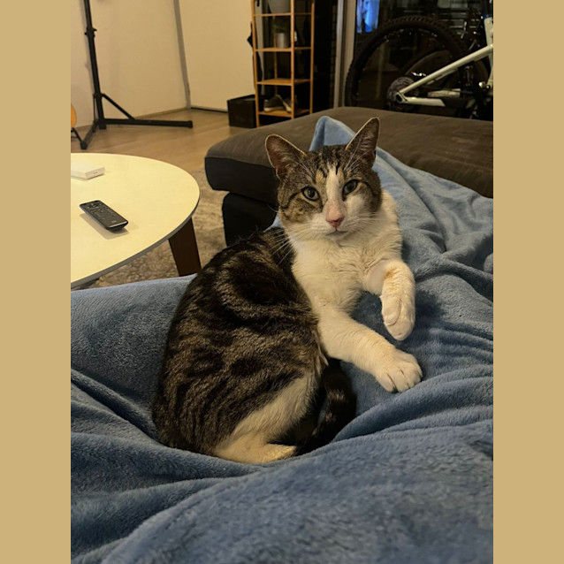 Photo of Loaf