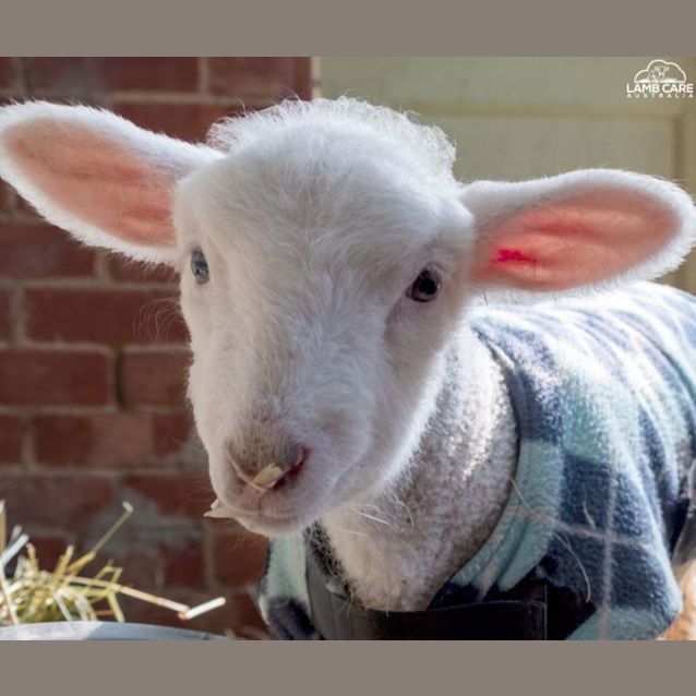 Photo of Priscilla And Bear