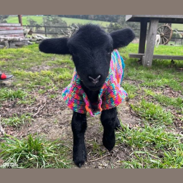 Photo of Jimmy And Tate