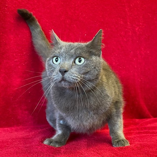 Photo of Smokey Vera