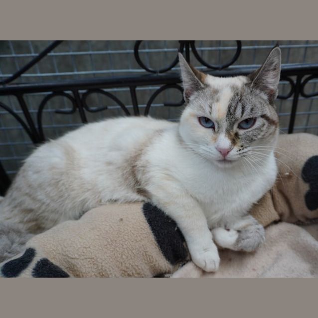 Photo of Princess Katie