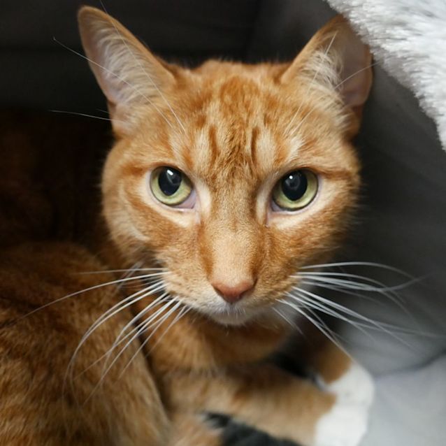 Photo of Polly Sua010114