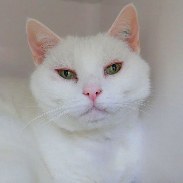 Photo of Max Sua010112