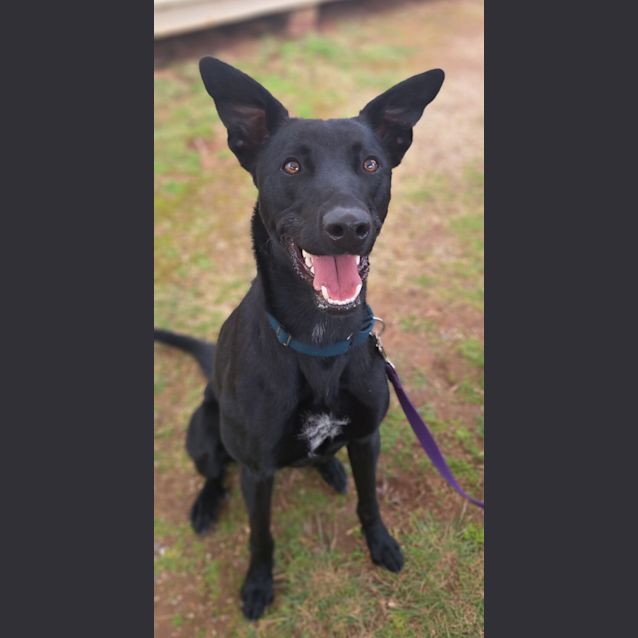 Photo of Captain