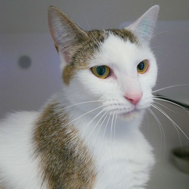 Photo of Shakita Sua010249