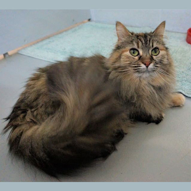 Photo of Penelope