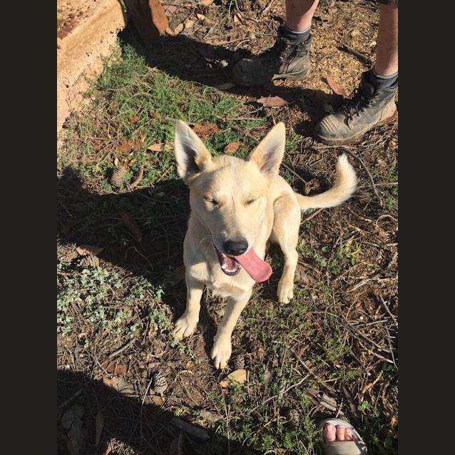 Photo of Bernie