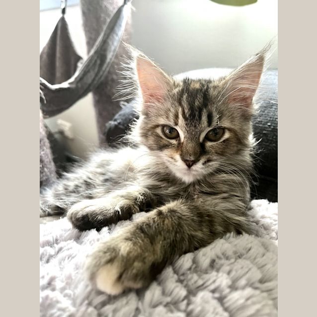 Photo of Truffles