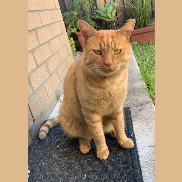 Photo of Gimli