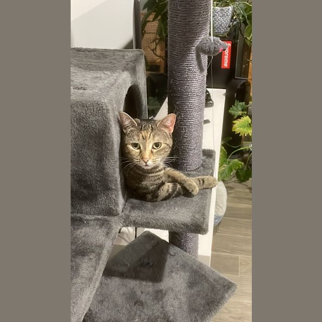 Photo of Marianne