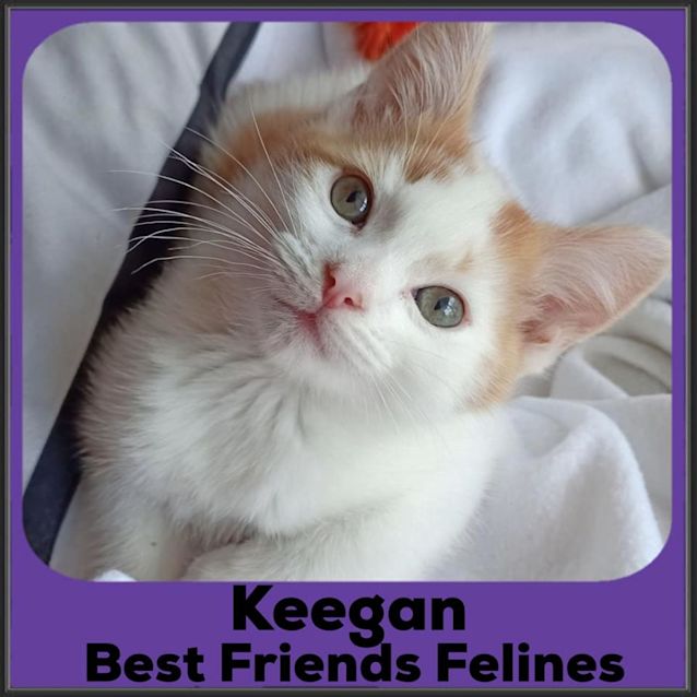 Photo of Keegan 