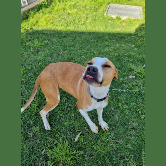 Photo of Lola 