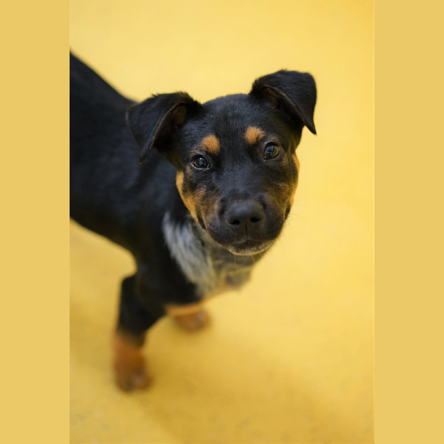 Photo of Happy