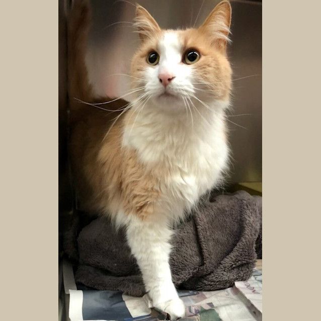 Photo of Twix