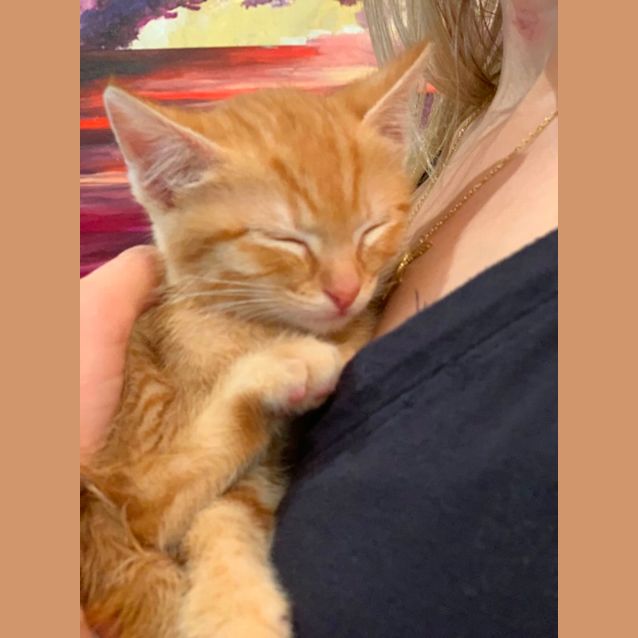 Photo of Captain Kipper