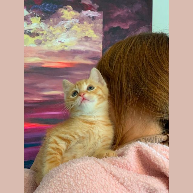 Photo of Captain Kipper