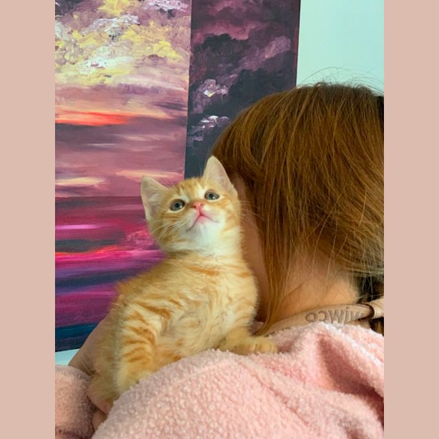 Photo of Captain Kipper