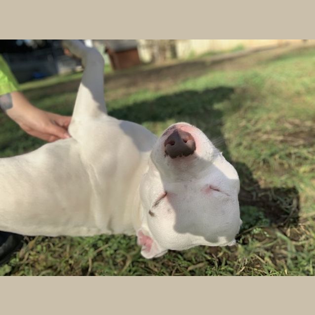 Photo of Zeus