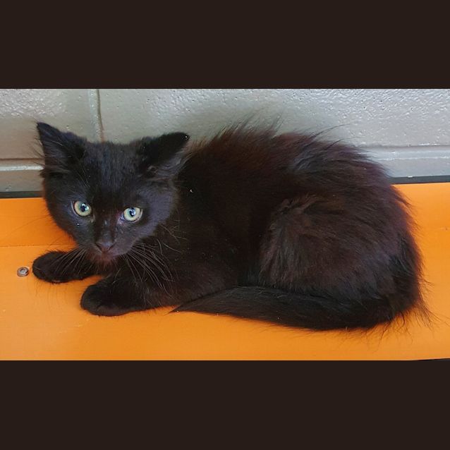 Photo of Storm