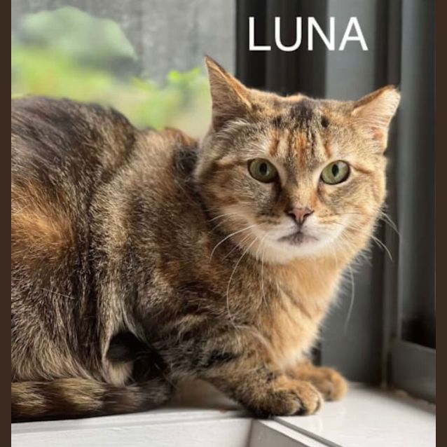 Photo of Luna
