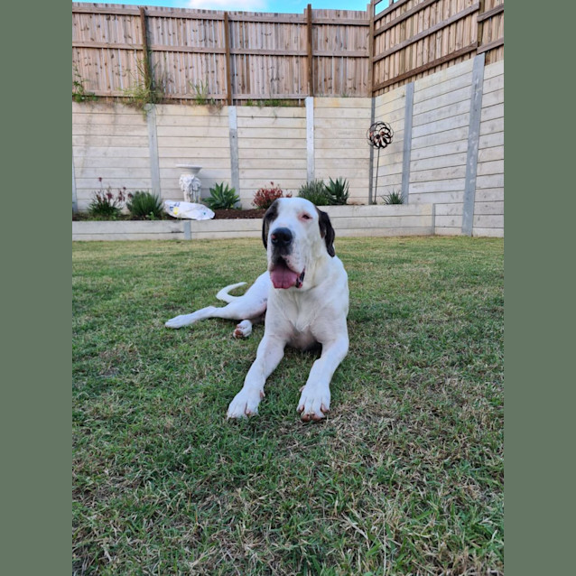 Photo of Winston